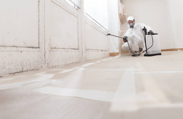 24/7 Emergency Black Mold Remediation experts in Quincy, FL
